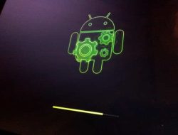 21 Ponsel ini Bisa Gunakan Android Q Beta 3