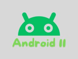 Inilah Fitur yang Harus Ada dalam Android 11!