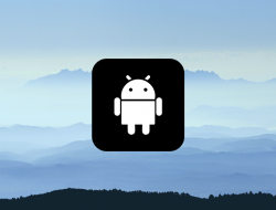 Mengintip Fitur Baru Android 12 Pada Developer Preview 2