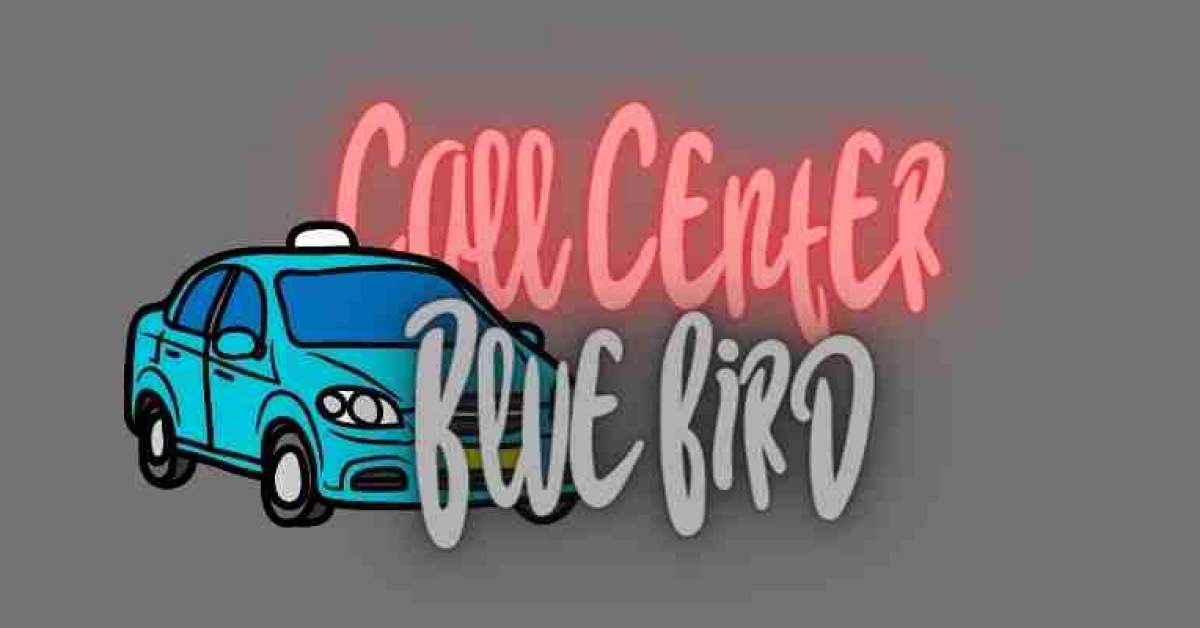 Call Center Bluebird Yang Bisa Kamu Hubungi Tanpa Ribet!