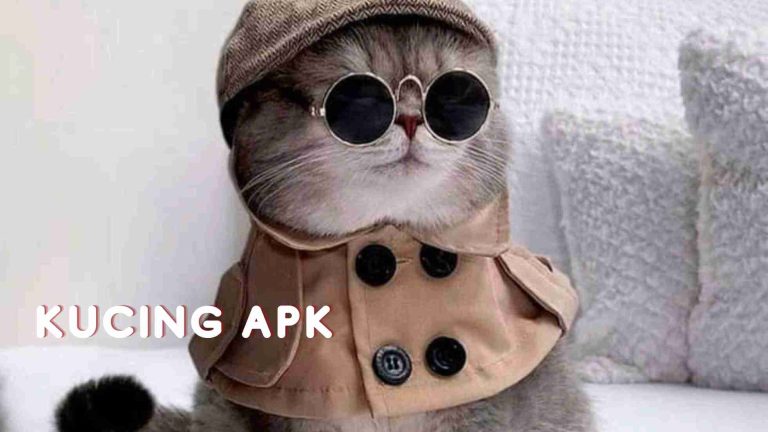 kucing apk