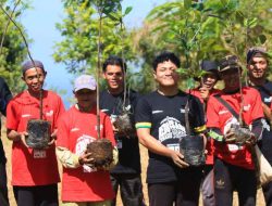 Telkom Indonesia Dukung Rehabilitasi Lahan Kritis dengan Program Reboisasi di Empat Provinsi