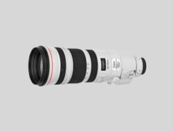 Kapan Rilis Canon RF 200-500mm F4L IS USM? Inilah Info Terbaru dan Alasan Penundaannya