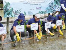 Telkom Regional 1 Tanam 5.000 Mangrove di Desa Tanjung Rejo, Perkuat Komitmen Lingkungan